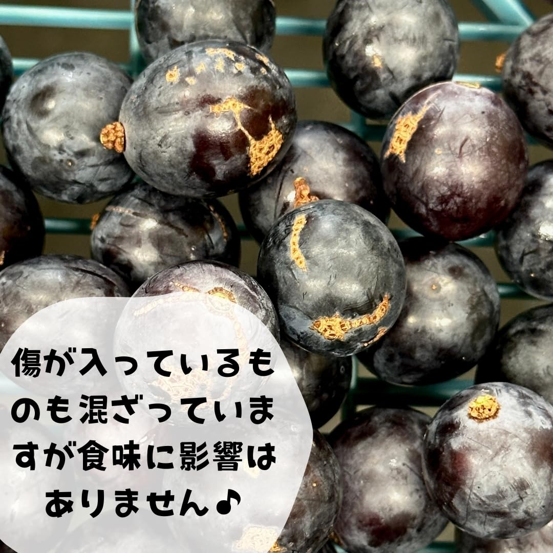 【にゃあ〜Mom】巨峰の粒　箱込1kg弱 Amazon.co.jp: 冷凍 種あり 巨峰 1kg (500g×2袋) 秀優混合 サイズ